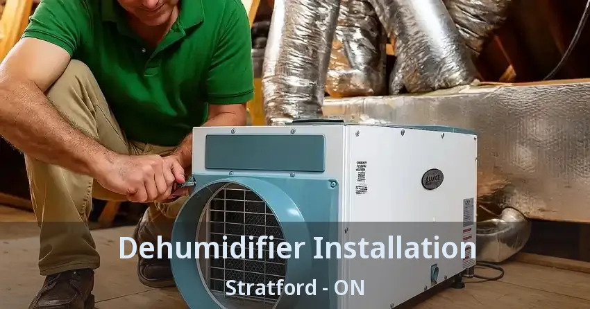 Dehumidifier Installation Stratford - ON