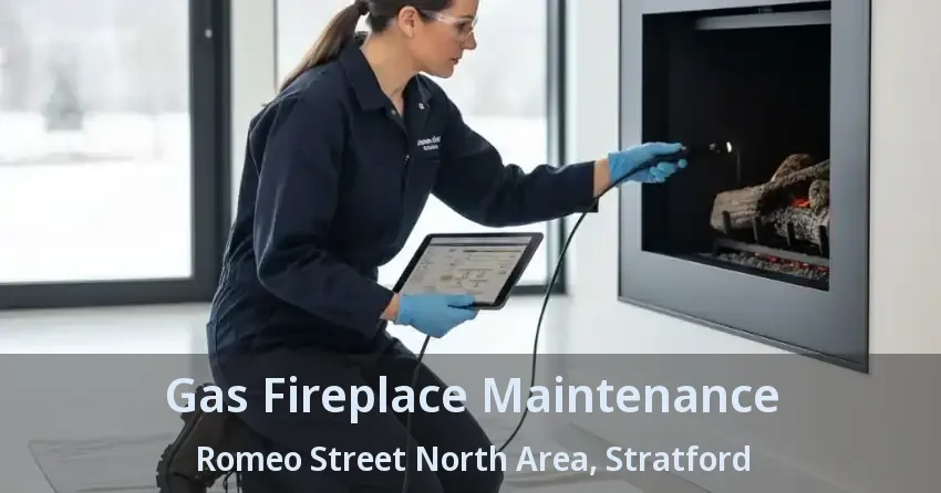 Gas Fireplace Maintenance Romeo Street North Area, Stratford - ON
