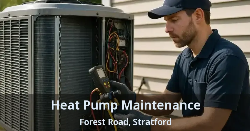 Heat Pump Maintenance Forest Road, Stratford - ON